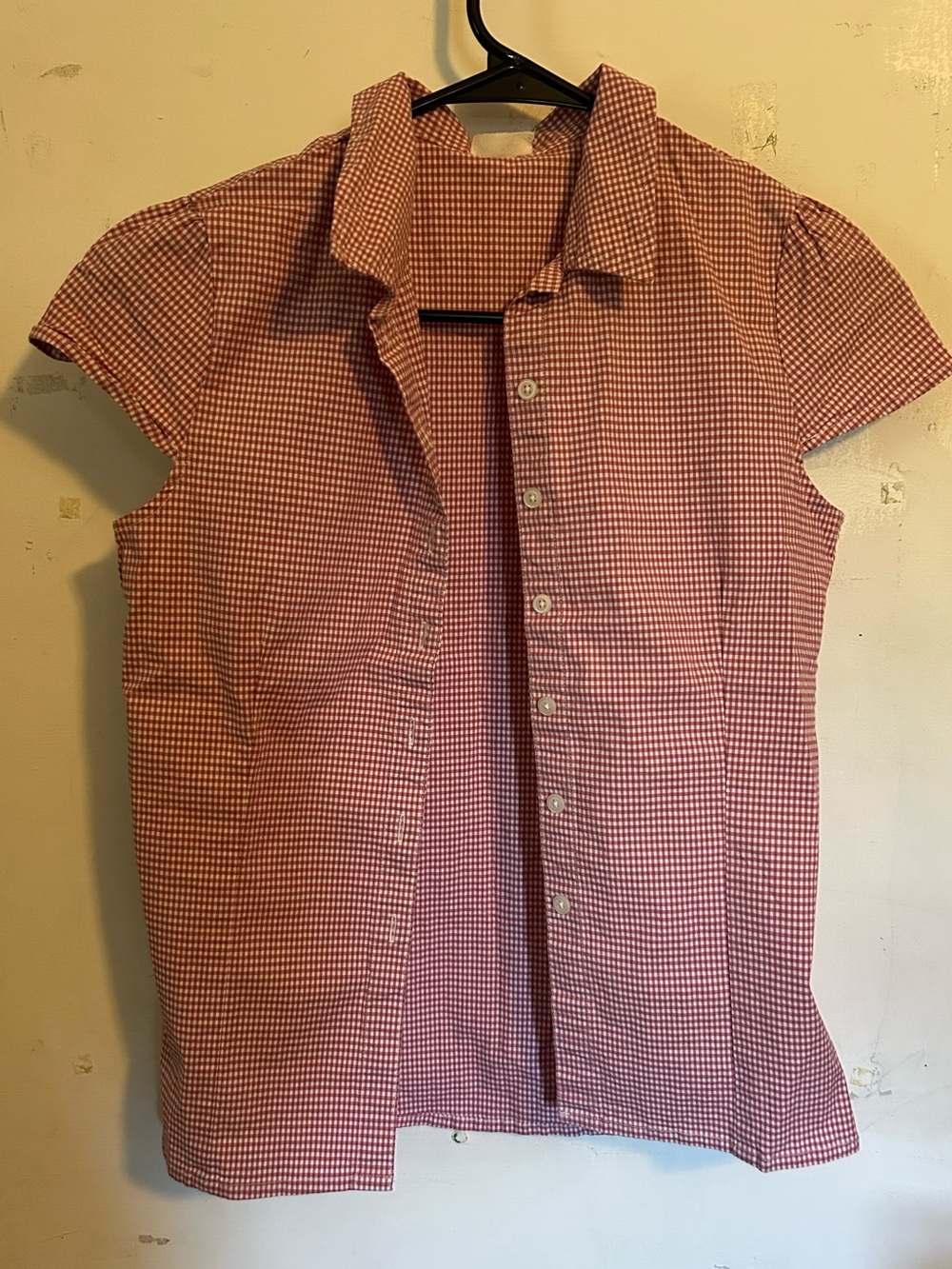 Brandy Melville Pink Gingham Button Up